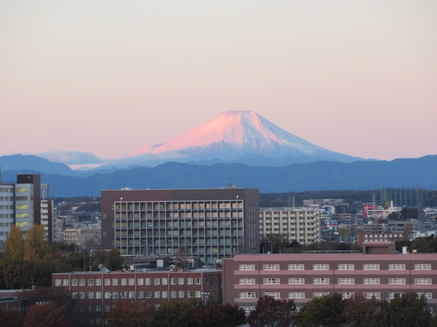 11月19日の赤富士